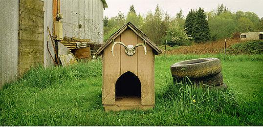 Bungie被曝存在工作场所霸凌行为 曾发声谴责动视暴雪